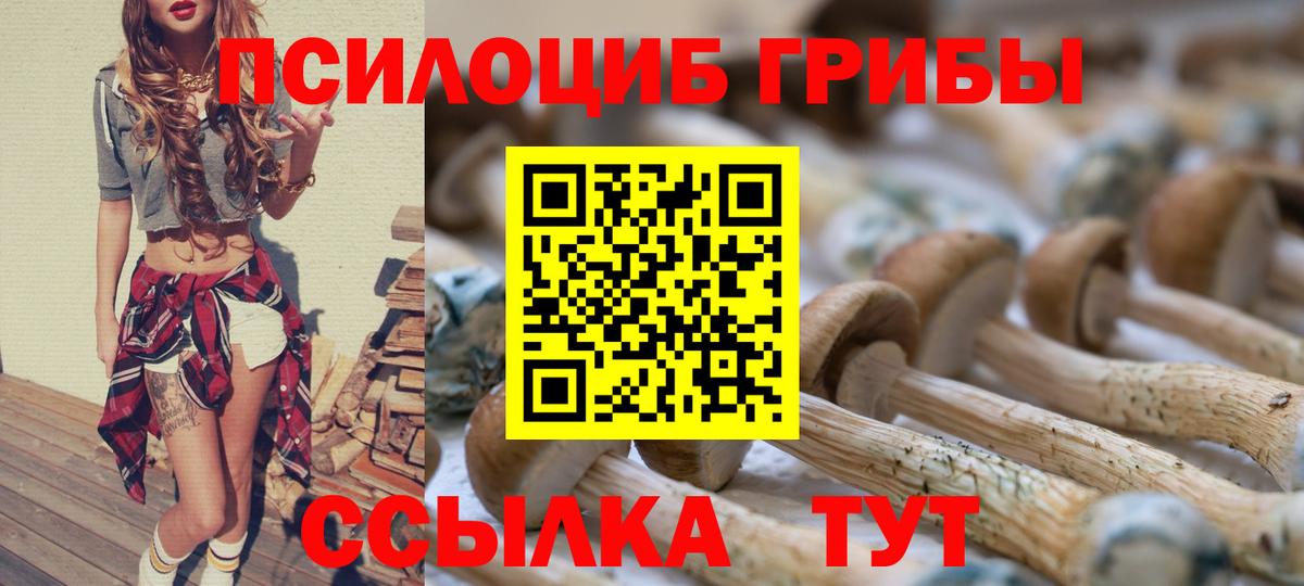 Осинники  Псилоцибиновые грибы прущие грибы  Вход с VPN 