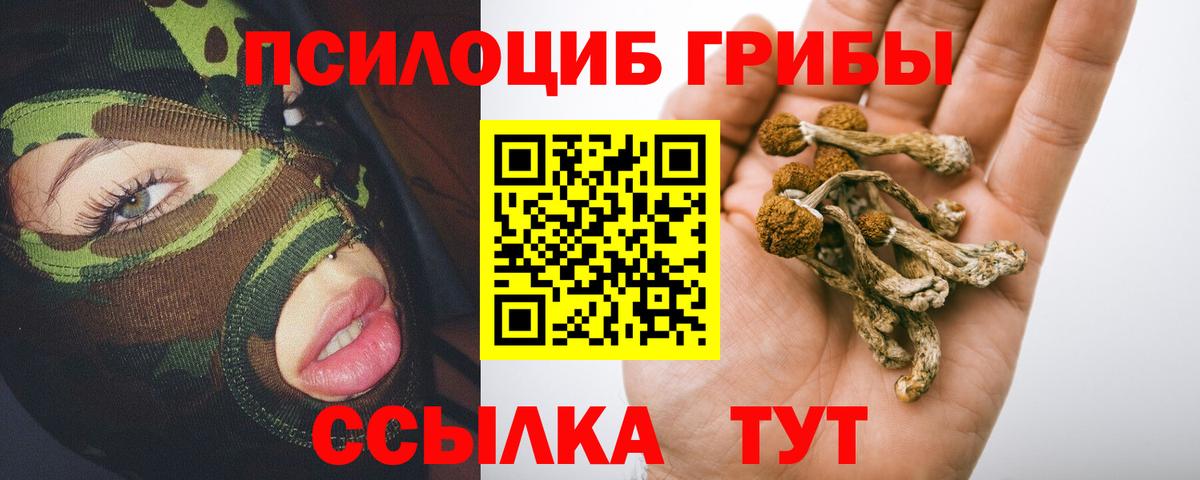 Галлюциногенные грибы MAGIC MUSHROOMS Осинники